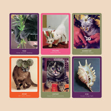 Load image into Gallery viewer, The Cat Oracle: 33 Card Deck &amp; Guidebook
