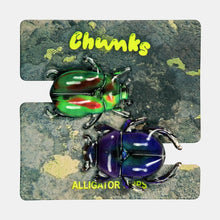 Load image into Gallery viewer, Allie Beetle Clips in Shining Armor
