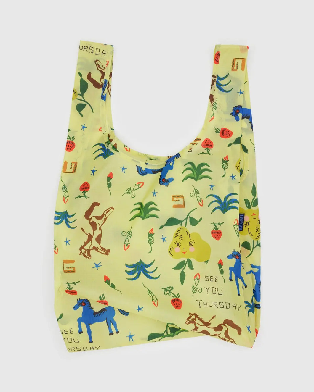 Painted Prairie Baggu